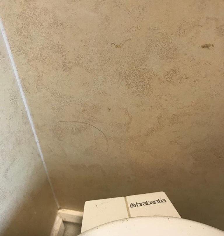 Little Fox Hotel主图