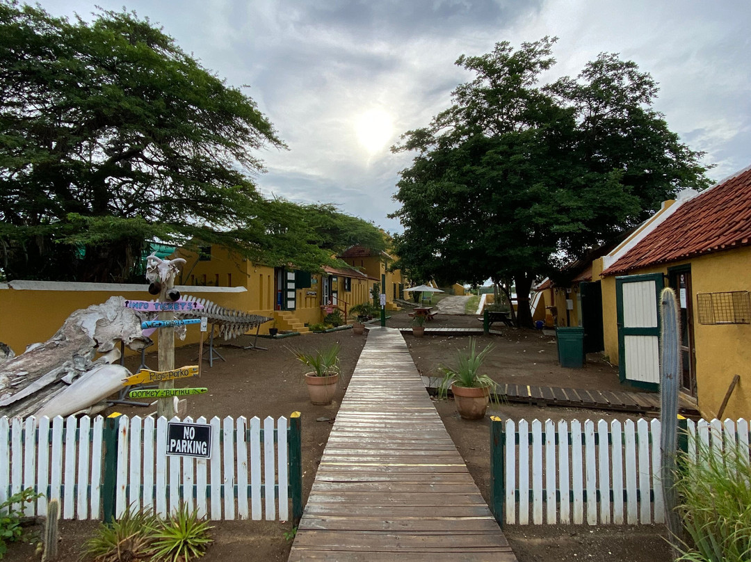 Christoffelpark-Sabana Westpunt必去景点