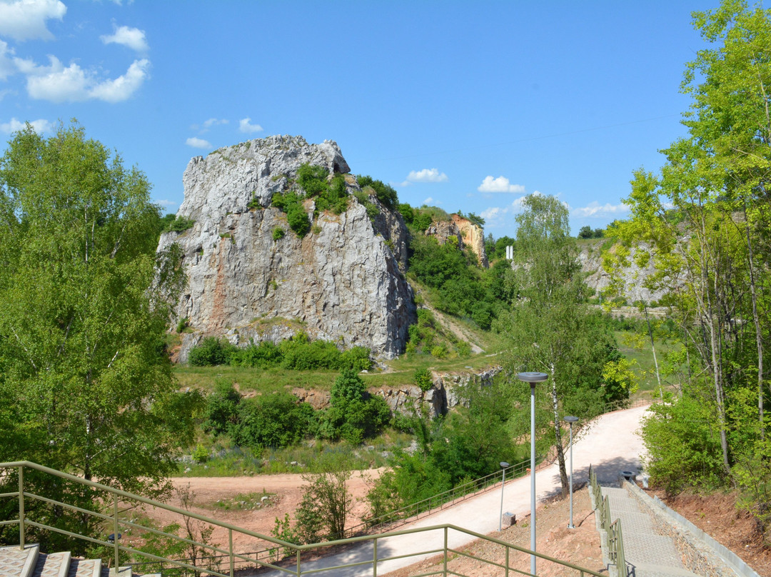 Kadzielnia Park and Nature Reserve景点图片