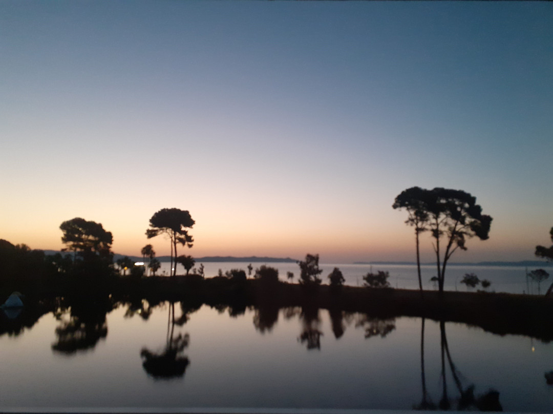 Hôtel Plein Sud Hyères, Vacances Bleues主图