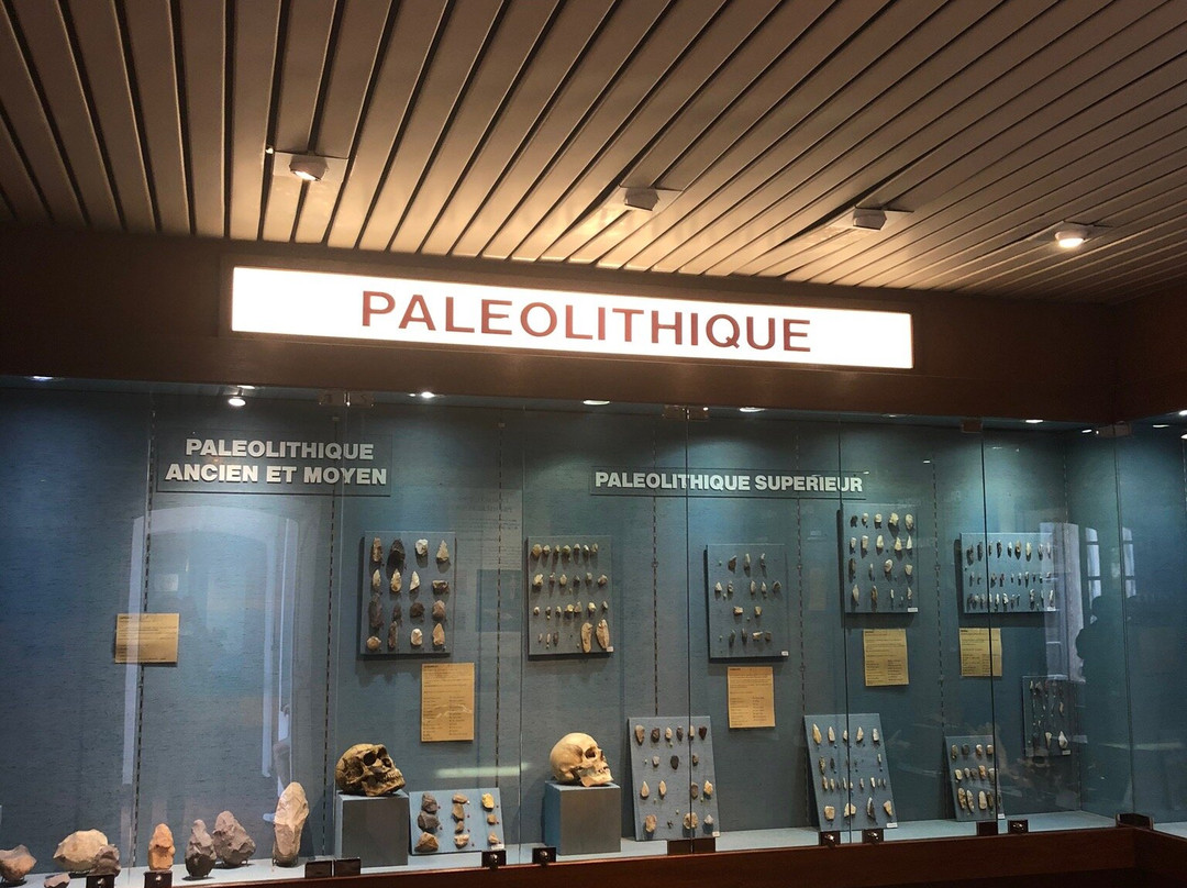 Musée Archéologique de Saint-Raphaël景点图片