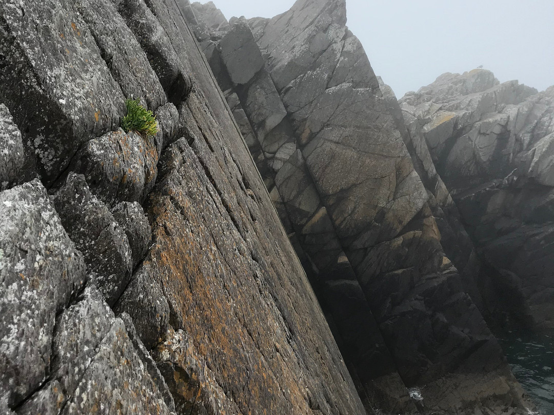 The Climbing Company景点图片