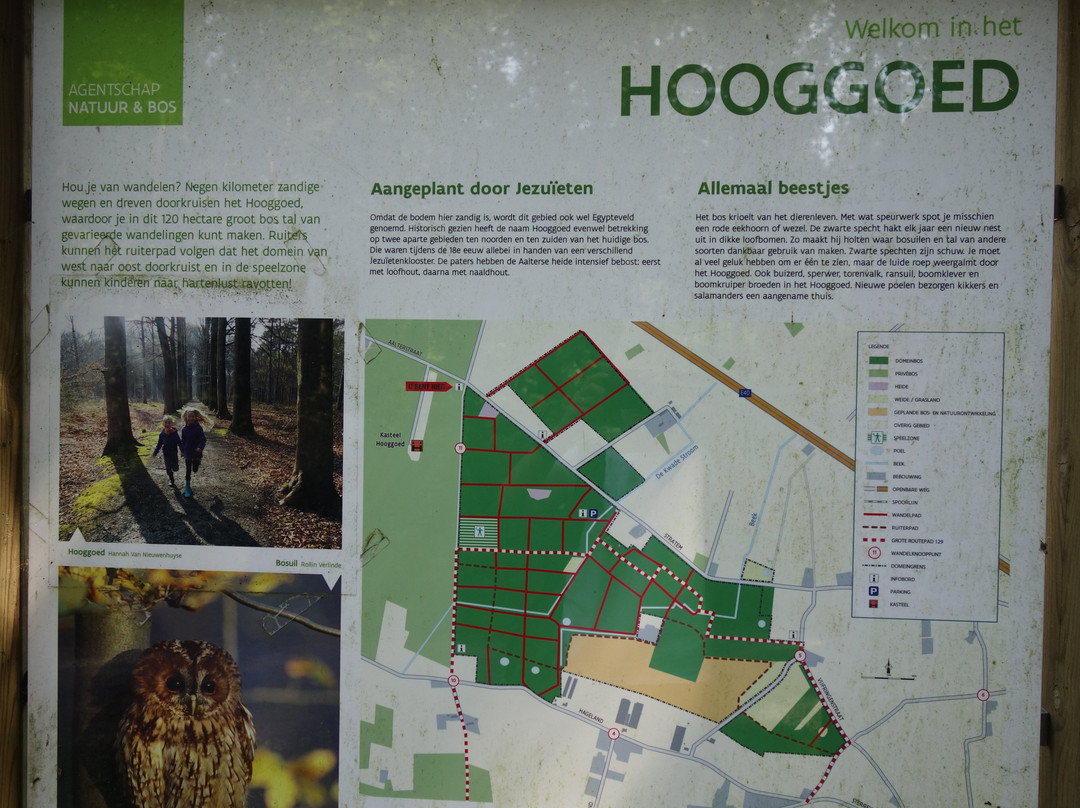 Hooggoedbos-阿尔特必去景点
