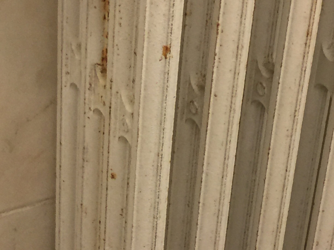 L'Oasi Agriturismo di Marchiani Puzio Carlo主图