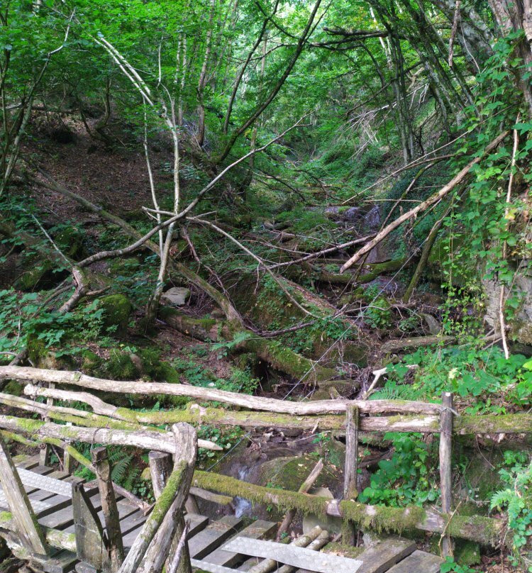Grotta del Romito-Marradi必去景点