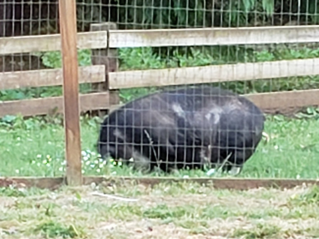 Corbett Farm-波特兰必去景点