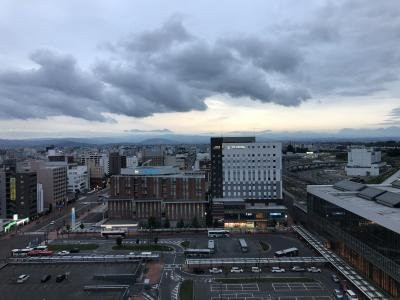 旭川JR酒店主图