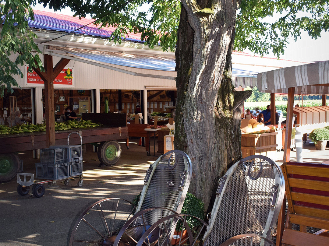 Szalay's Sweet Corn Farm-Peninsula必去景点