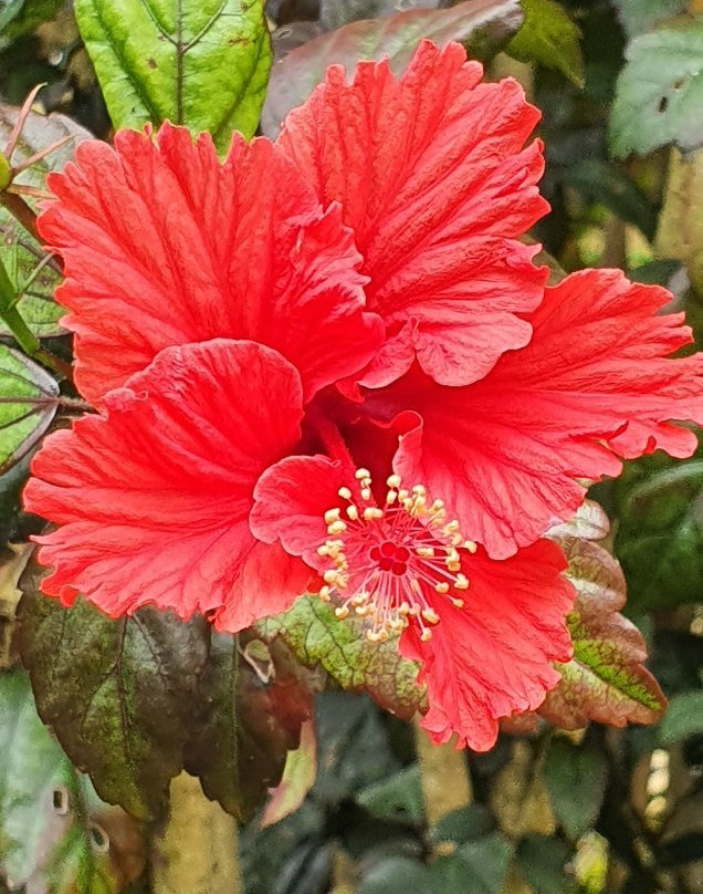 阿瑟顿假日公园主图