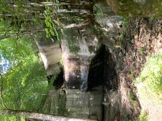 Nella Foresta di San Gerbone景点图片