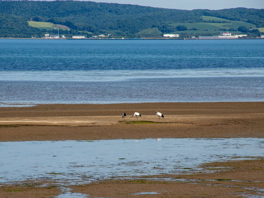 能取湖第一展望台-网走市必去景点