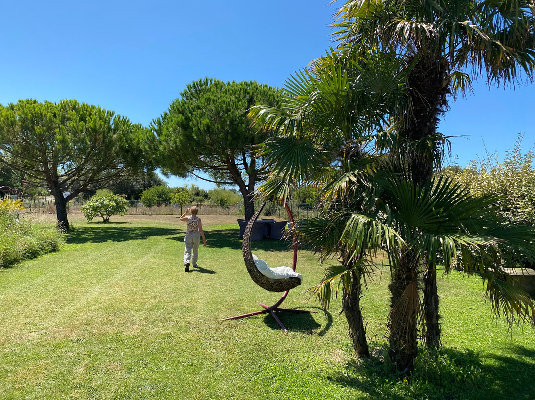 La Maison des Algues主图