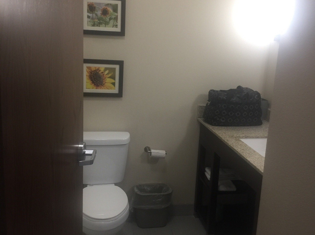 Comfort Inn & Suites Salina North主图