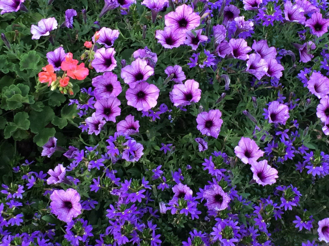 World Largest Wind Chime-Casey必去景点
