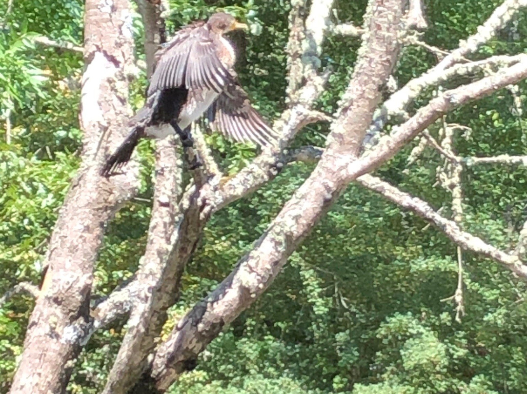 Ropotamo Nature Reserve-普里莫斯科必去景点