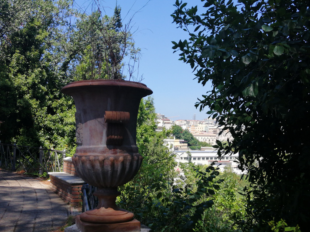 Villa Trieste景点图片