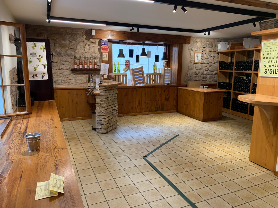 Domaine Armand Gilg景点图片