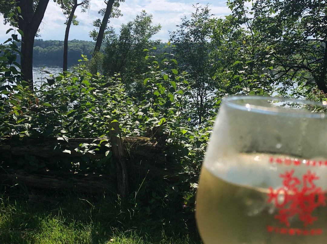 Snow Farm Vineyard and Winery-South Hero必去景点