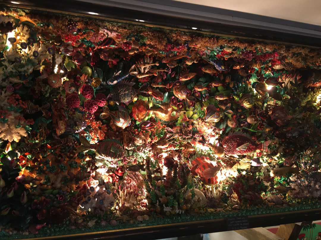 Dicy旅游攻略图片