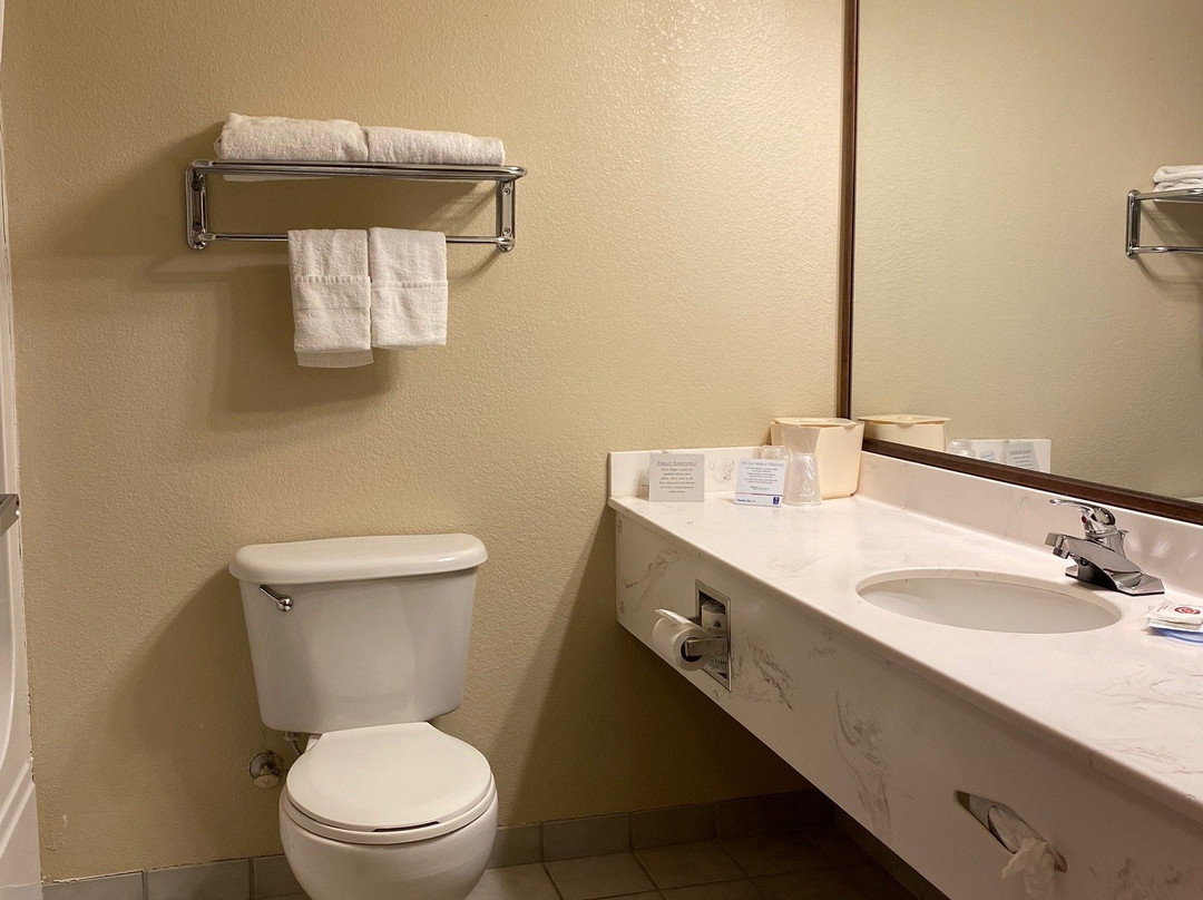 Comfort Inn Whitehall Near Michigan's Adventure主图