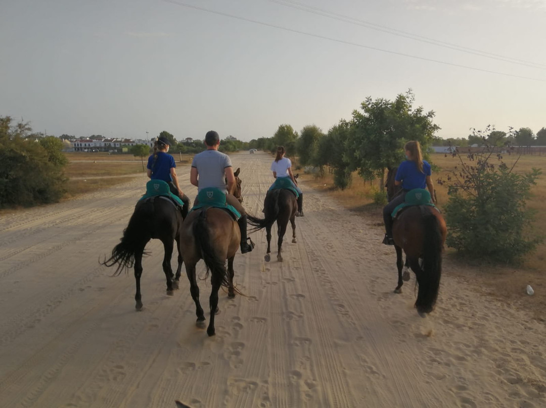 Doñana Dressage景点图片