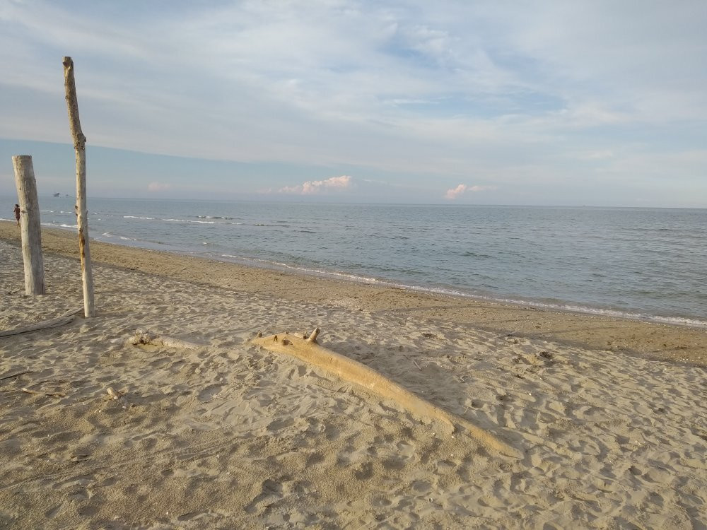 Spiaggia Libera Lido di Classe景点图片