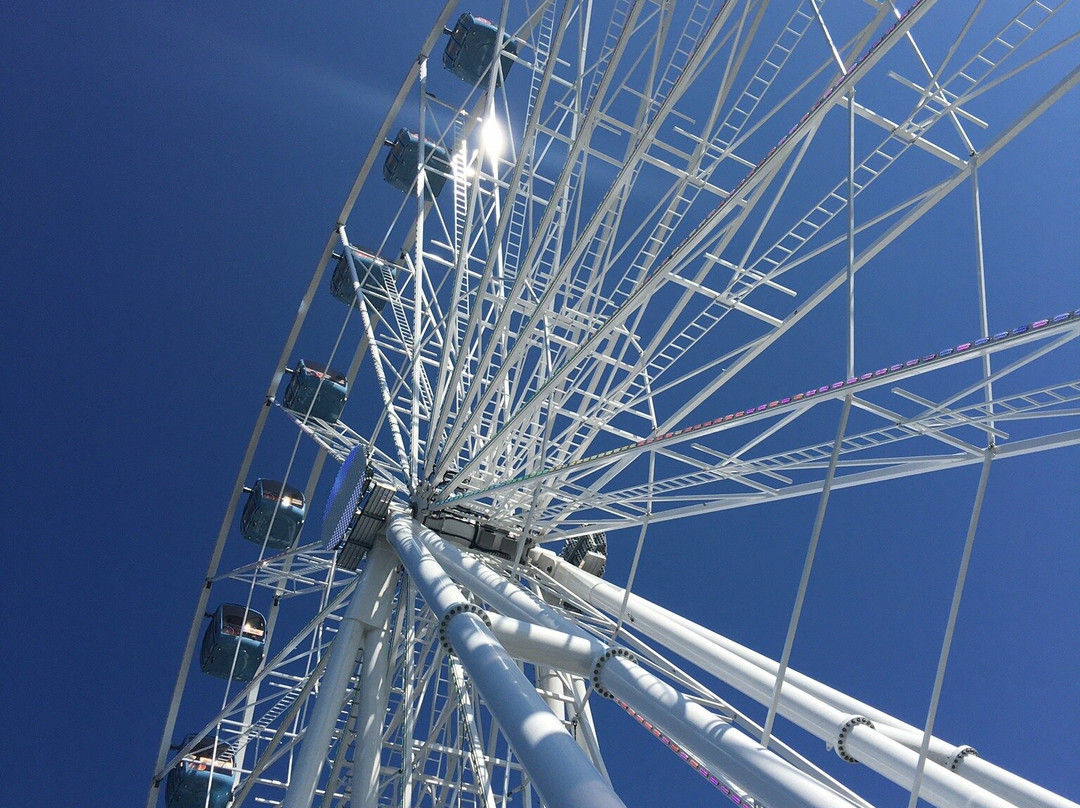 Skywheel Of Tallinn-塔林必去景点