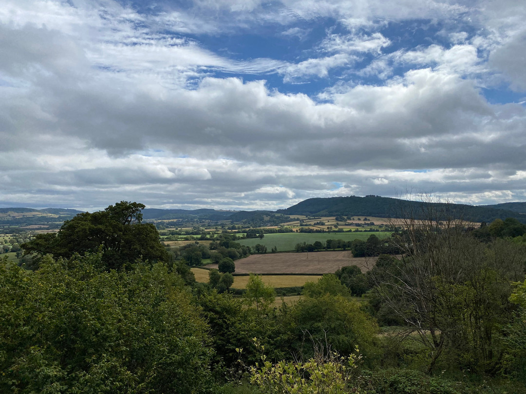 The Castle Inn主图