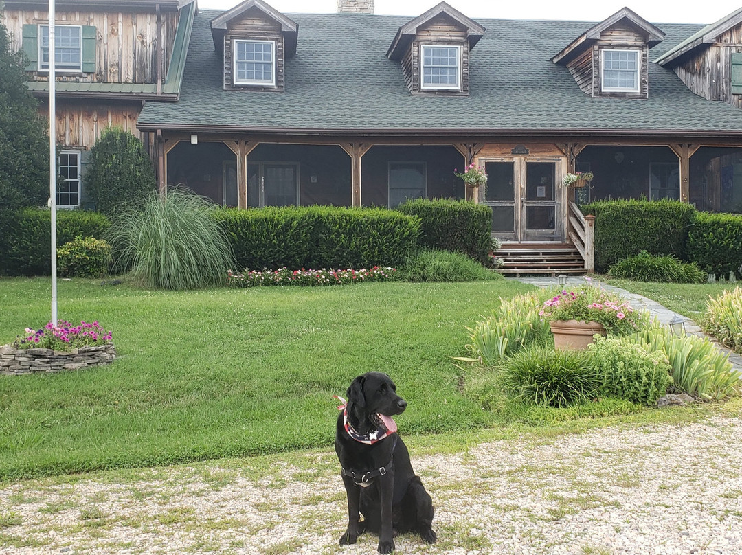 Fox Hill Bed & Breakfast Suites主图