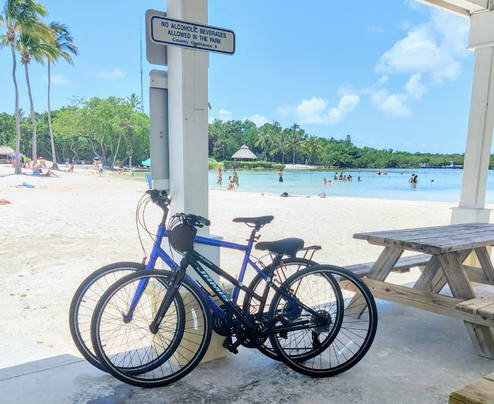 Key Largo Bicycle and Adventure Tours-Tavernier必去景点