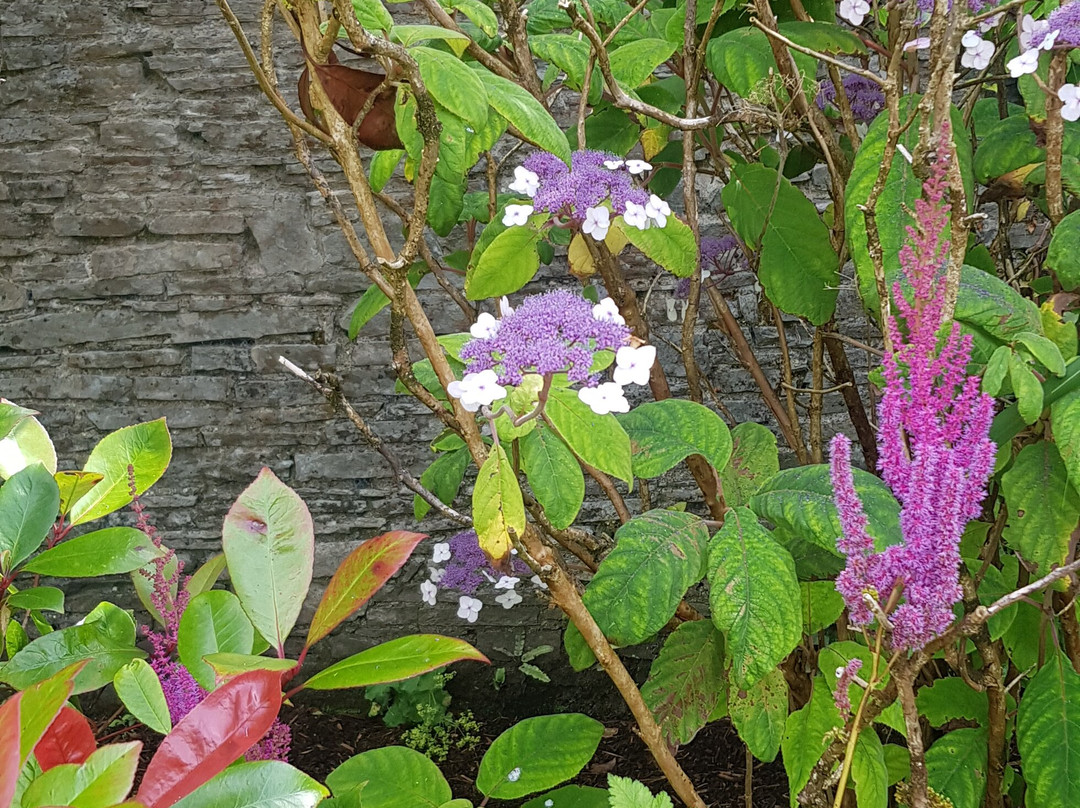 Vandeleur Walled Garden & Visitor Centre-Kilrush必去景点