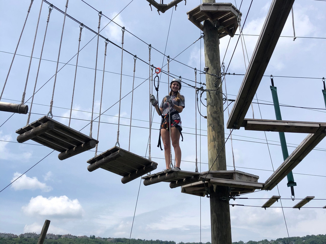 Moneky Business Aerial Adventure Park-McHenry必去景点