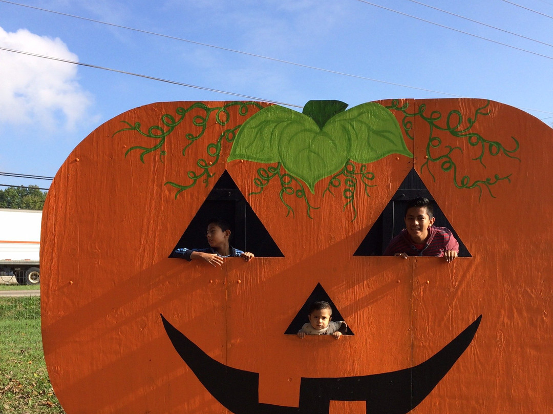Shaw Farm-Milford必去景点