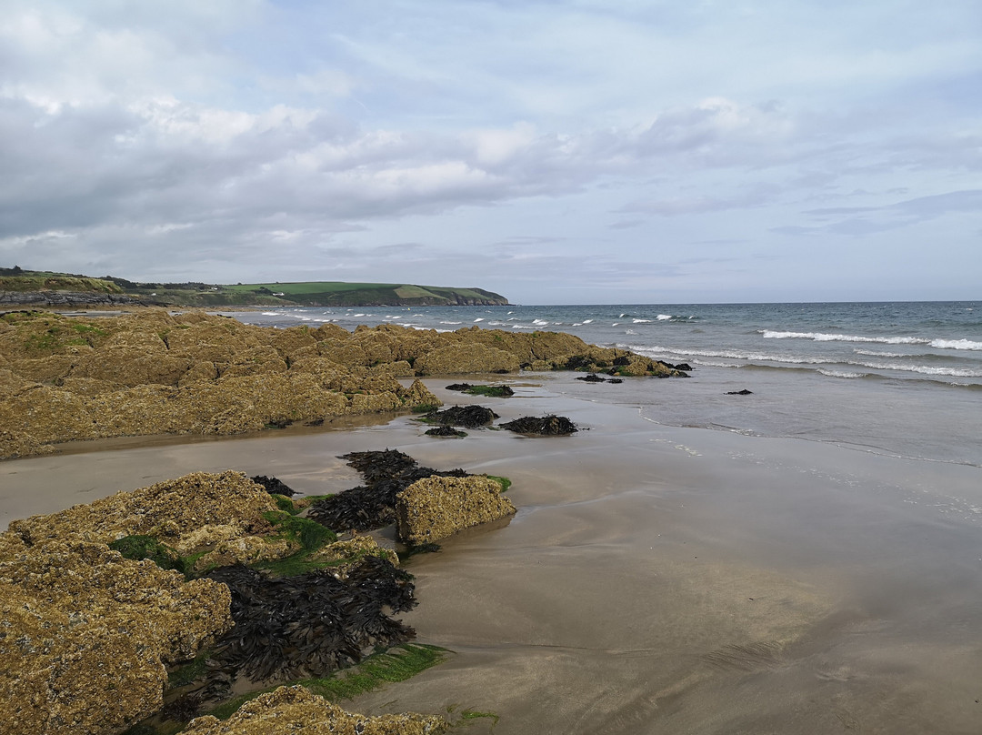 Clonea Beach景点图片