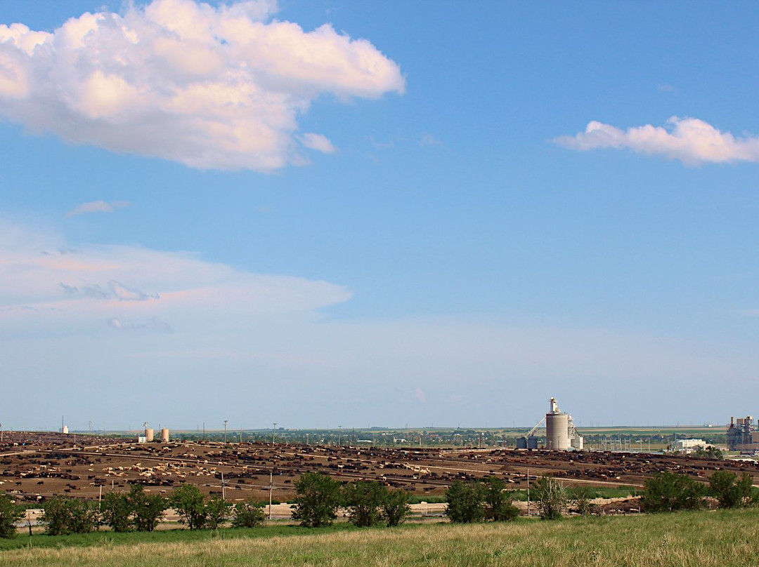 Cattle Feedlot Overlook-道奇城必去景点