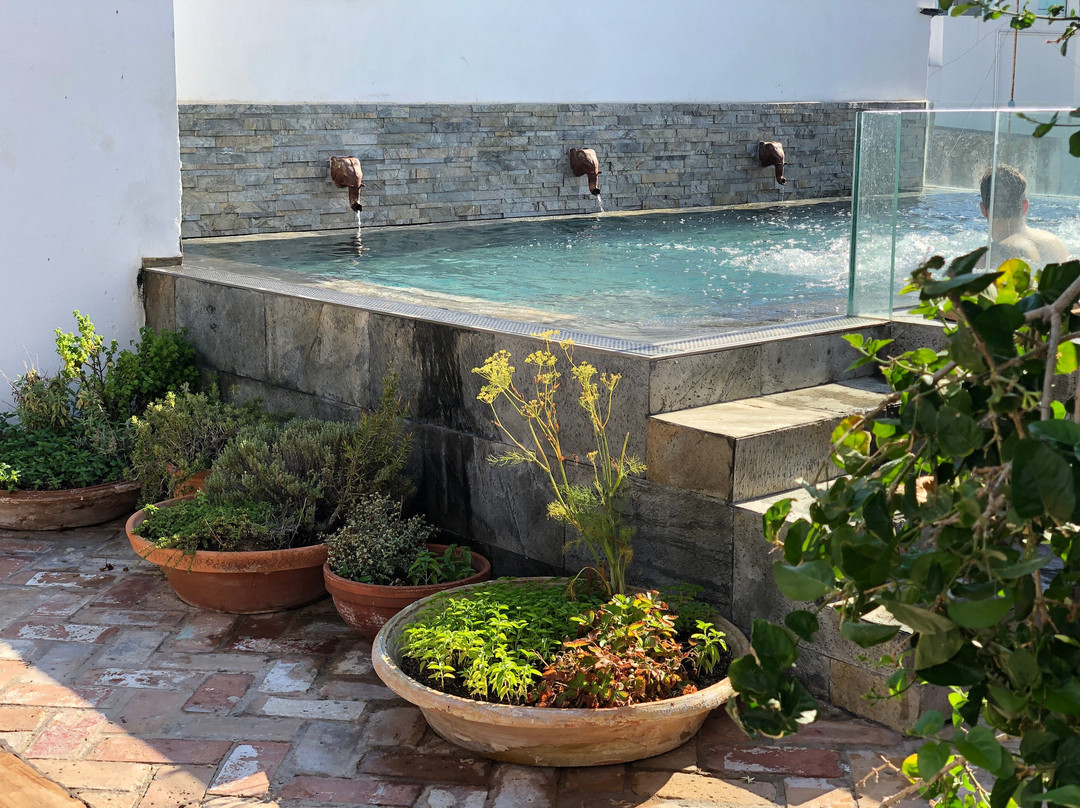 La Casa Del Consul主图