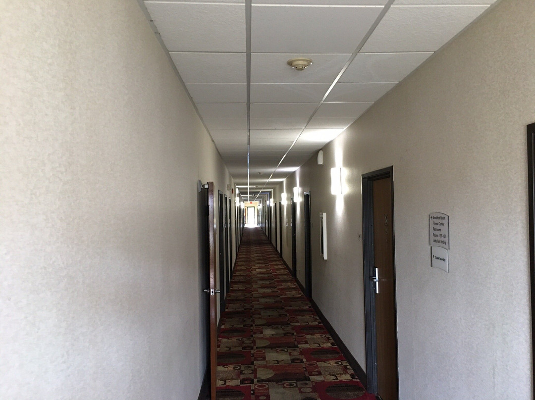 Quality Inn at Collins Road主图