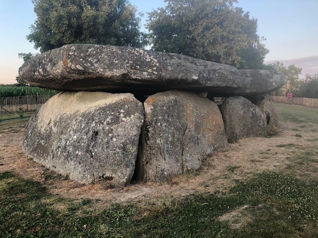 Dolmen de la Frébouchère景点图片