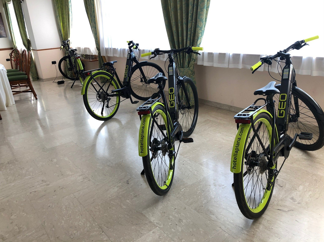 拉皮亚娜酒店主图