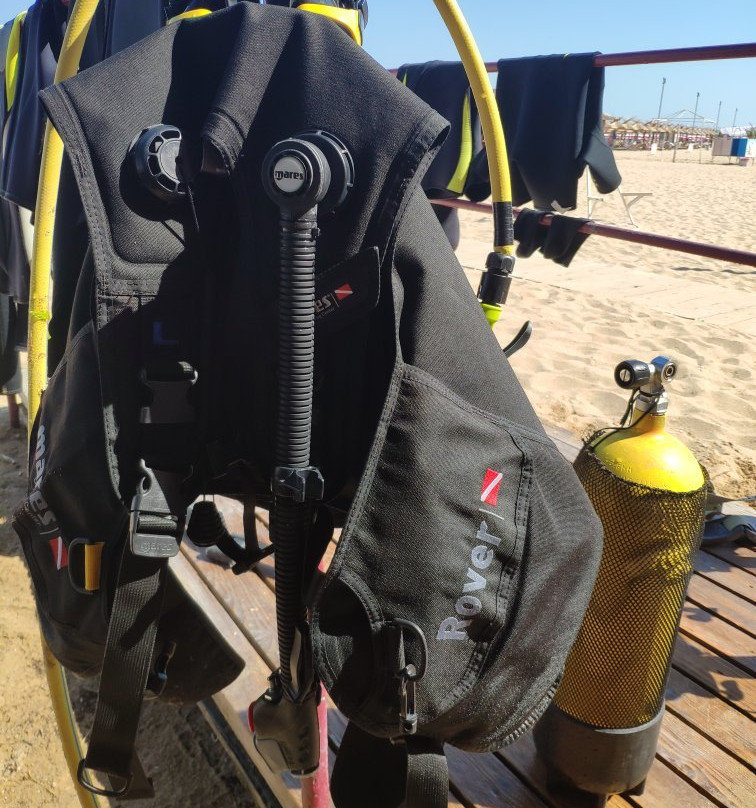 Harry's Diving Center-金沙必去景点