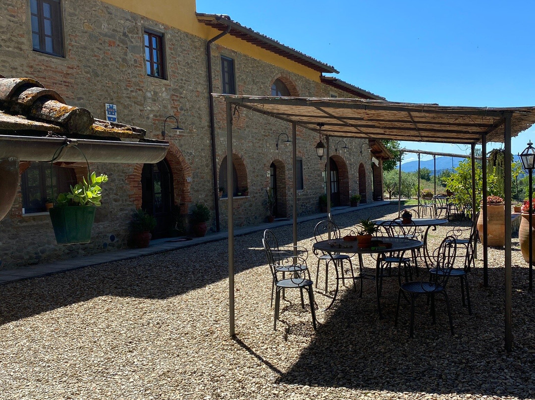 Agriturismo Le Buche di Viesca主图