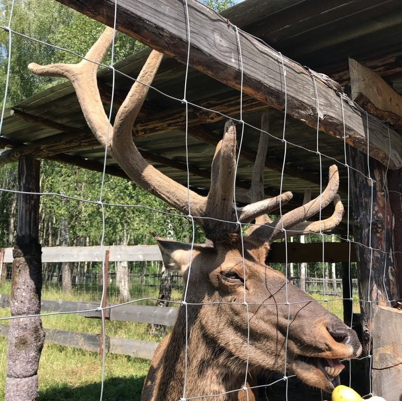 National Park Zuratkul-Satka必去景点