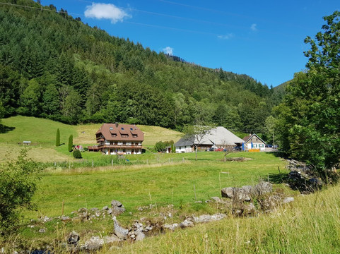 Gasthaus Zur Linde- Napf主图