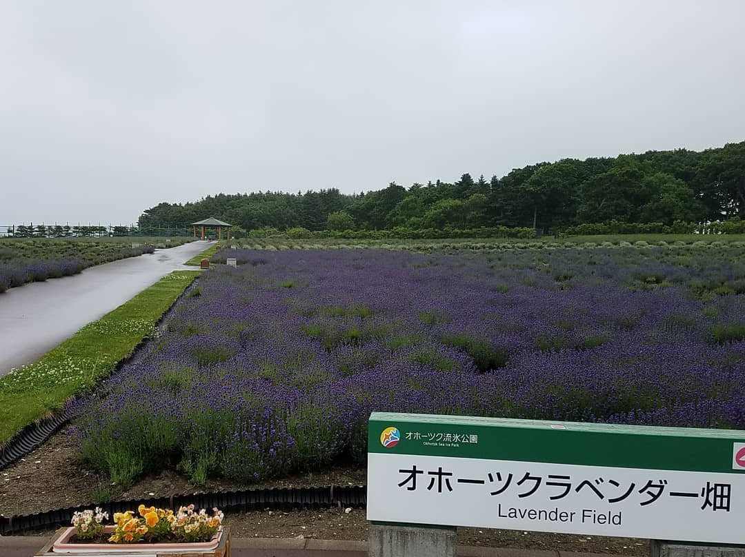 鄂霍次克流冰公园-纹别市必去景点