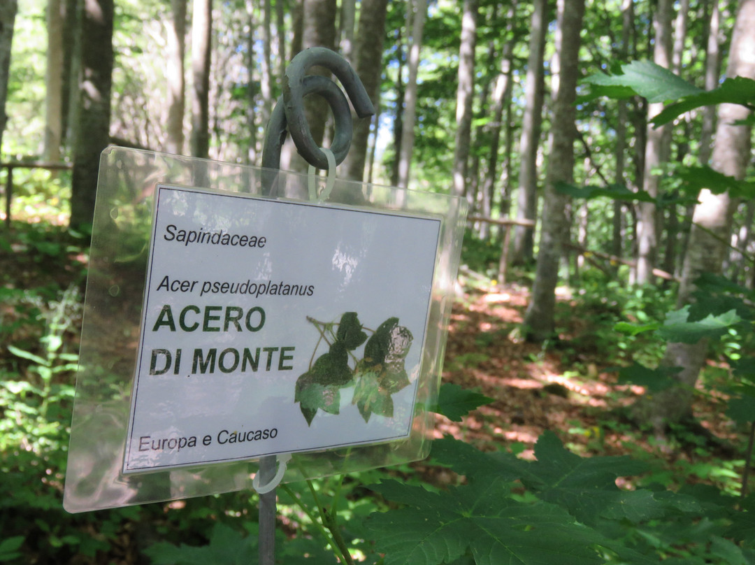 Giardino Botanico Alpino Esperia景点图片