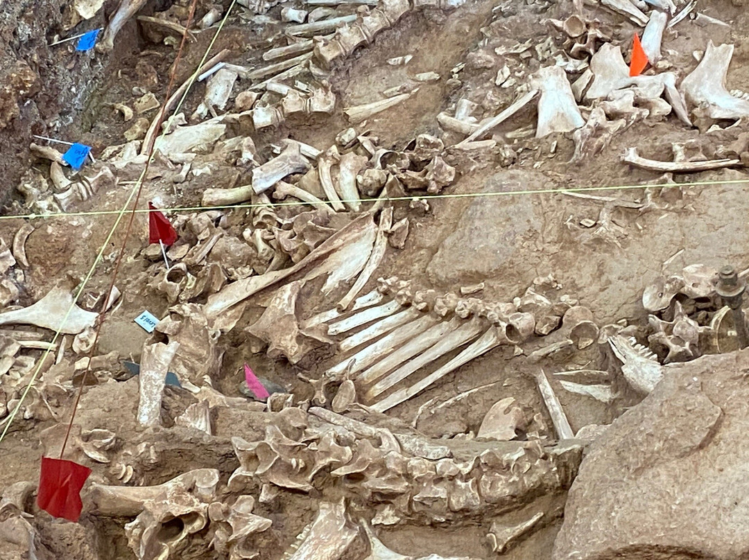 Vore Buffalo Jump-Beulah必去景点