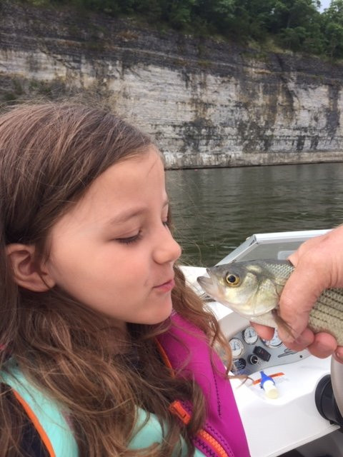 Lee's Grand Lake Resort主图