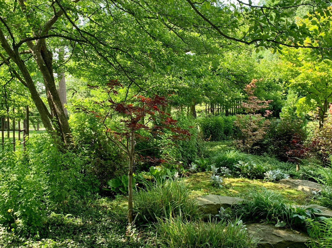 Jackson Park's Japanese Garden景点图片
