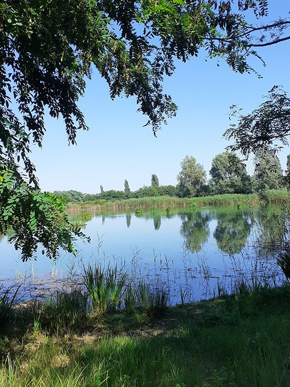 Bosco Wwf di Vanzago景点图片