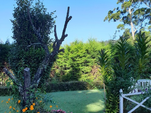 特列文酒店主图